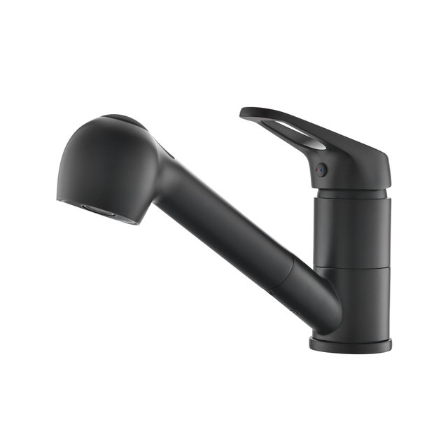 Robinet d'évier de cuisine à poignée unique cUPC noir mat